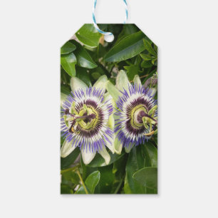 Purple Passion Flower Gift Tags