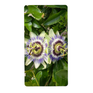 Purple Passion Flower Label