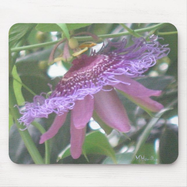 Purple Passion Flower Photo Mousepad (Front)