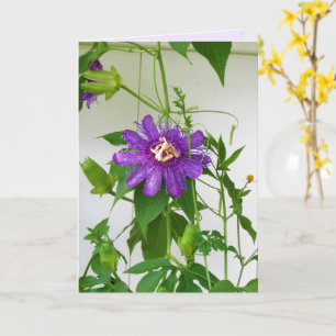 Purple Passion Flower - Portrait - Greeting Card