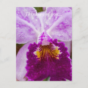 Purple Passion Orchid Thinking Of You Postcard