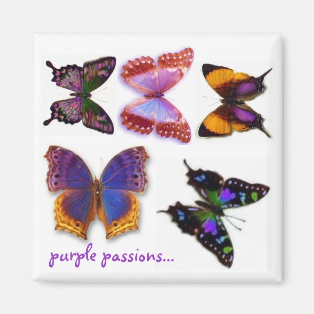 Purple Passions Butterflies Magnet by S Ambrose (Front)