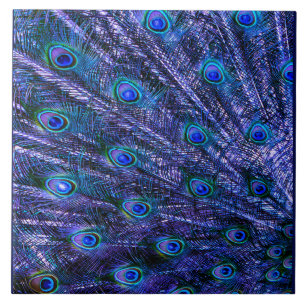 Purple Peacock Feathers Baby Blanket Tile