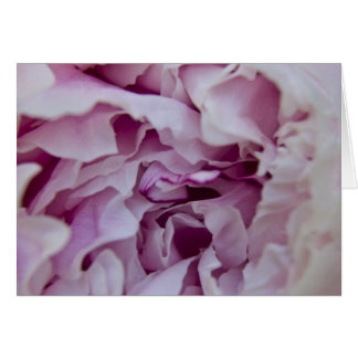 Purple Peony Card
