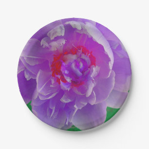 Purple Peony Plate