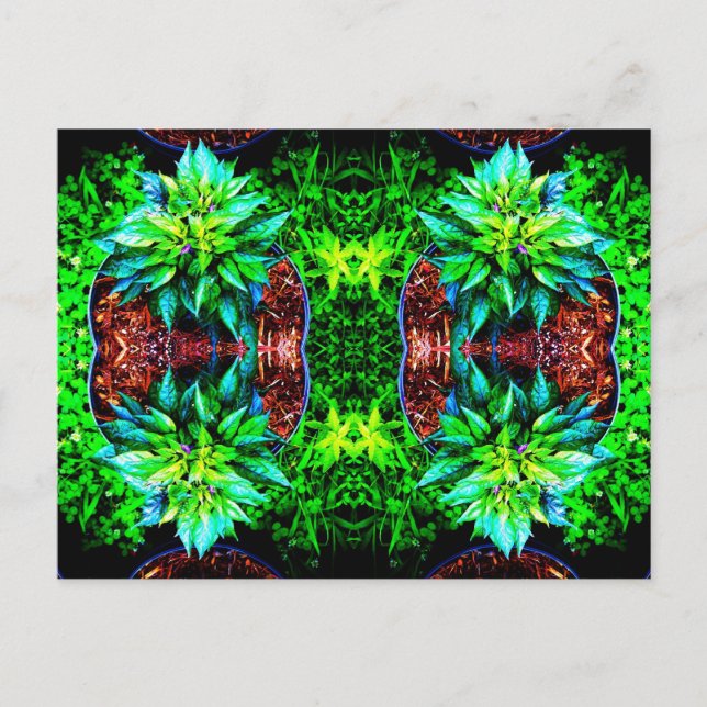 purple pequin mirror 4 postcard (Front)