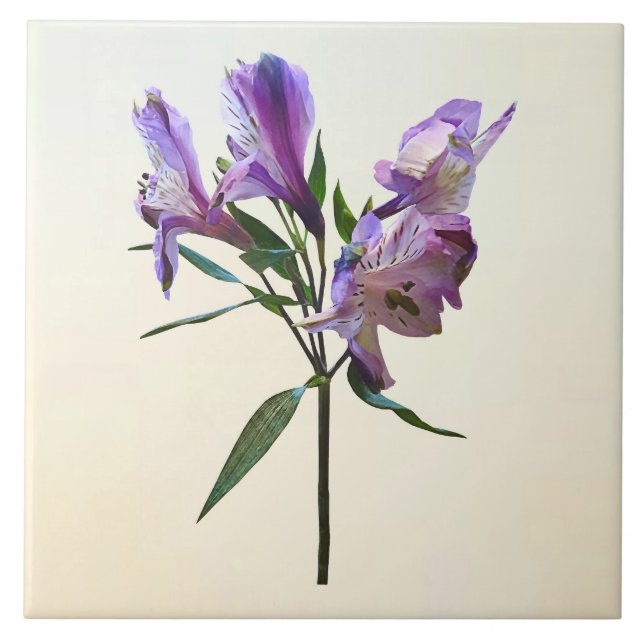 Purple Peruvian Lily Tile (Front)
