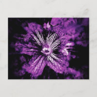 Purple Petal Hellos