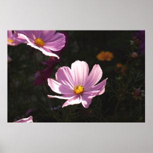 PURPLE PETALED FLOWER POSTER
