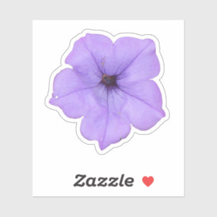 Purple Petunia