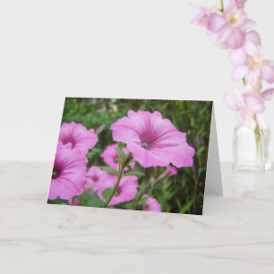 Purple Petunia Flowers & Green Foliage Card