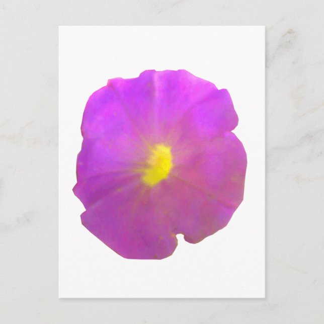 Purple Petunia Postcard (Front)