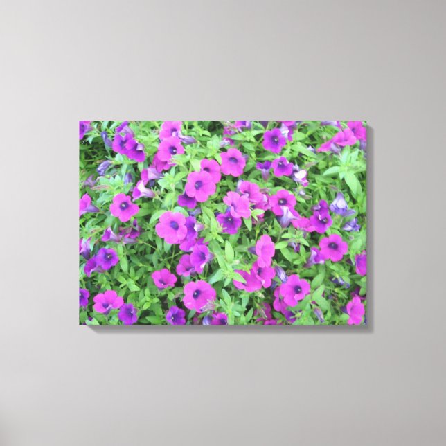 Purple Petunias Canvas (Front)