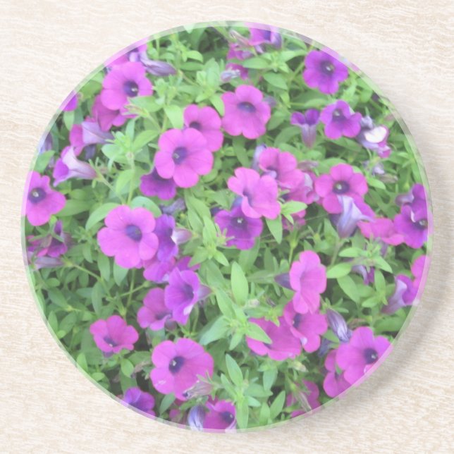 Purple Petunias Coaster (Front)