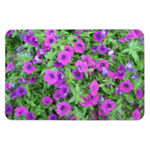 Purple Petunias Flexible Magnet