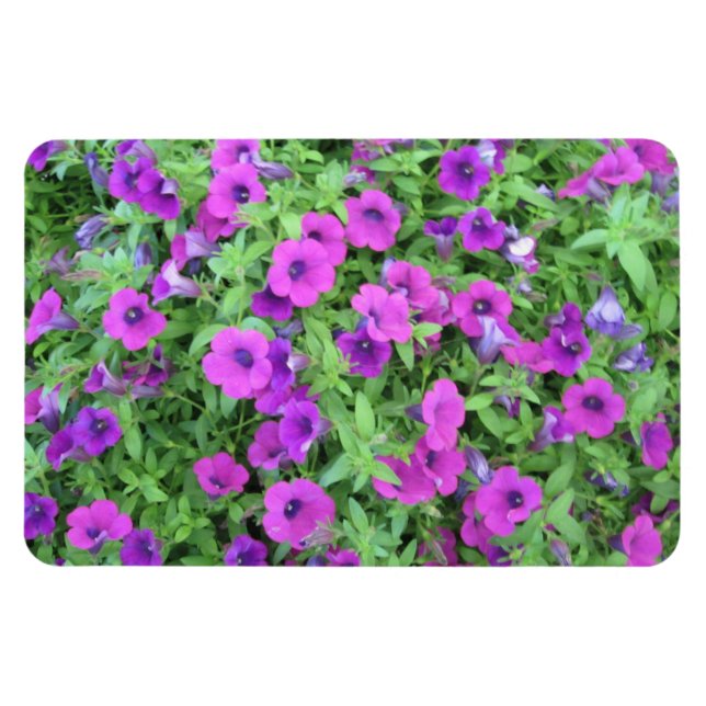 Purple Petunias Flexible Magnet (Horizontal)