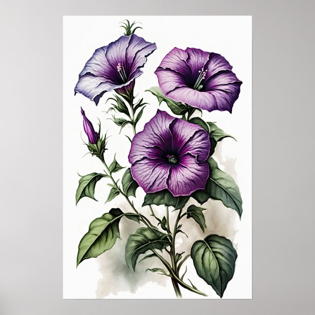Purple Petunias Flower Art Print Poster (Front)