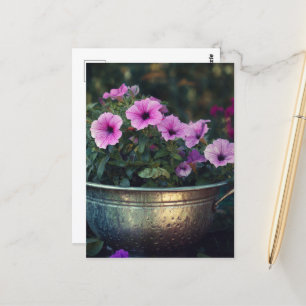 Purple Petunias Postcard