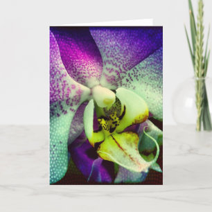 Purple Phalenopsis Orchid Blank Greeting Card