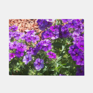 Purple Phlox flowers on a door mat