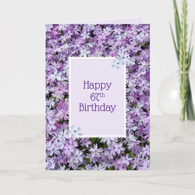 Purple Phlox For 67th Birthday Card (Front)