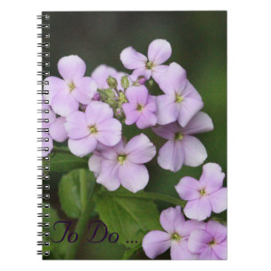 Purple Phlox Notebook