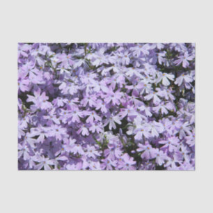 Purple Phlox Tissue Paper