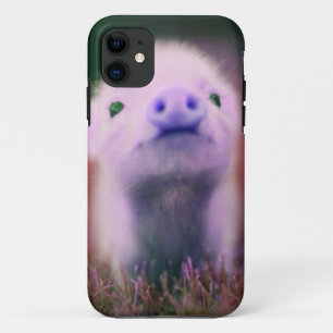 Purple Pigsy Case-Mate iPhone Case
