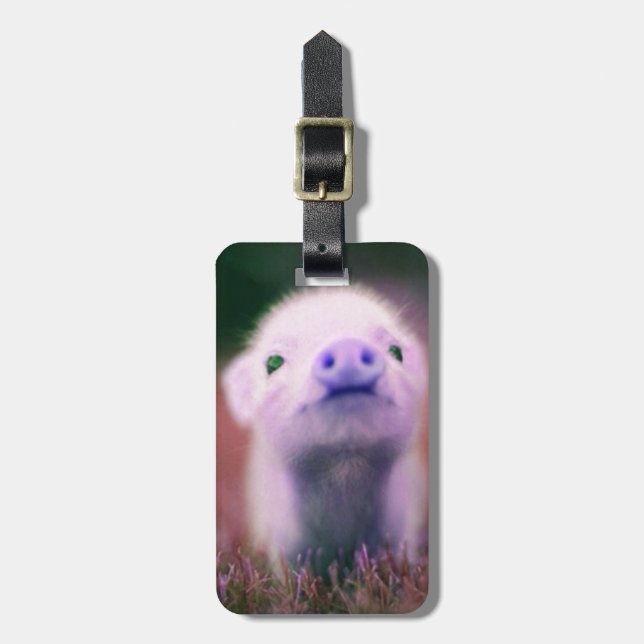 Purple Pigsy Luggage Tag (Front Vertical)