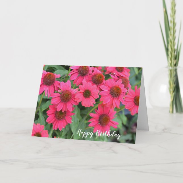 Purple Pink Coneflowers Birthday Card (Front)