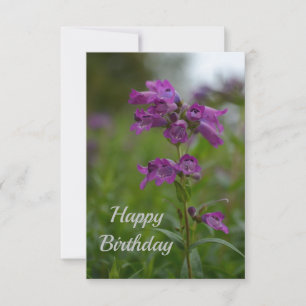 Purple Pink Dragonmouth Flower Card