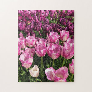 Purple & Pink Tulip Garden Bed, Oregon Jigsaw Puzzle