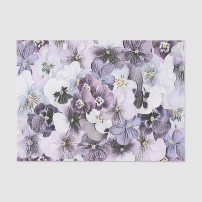 Purple Pink White Pansies Vintage Drawing    Tissue Paper (Front)
