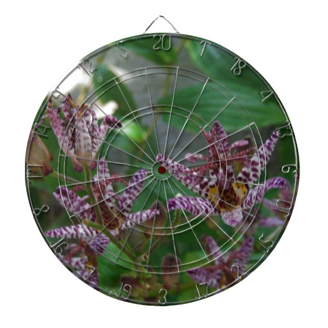 Purple pink white striped orchid like flower lilly dartboard (Front)