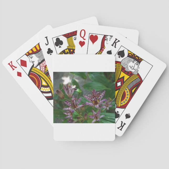 Purple pink white striped orchid like flower lilly playing cards (Back)