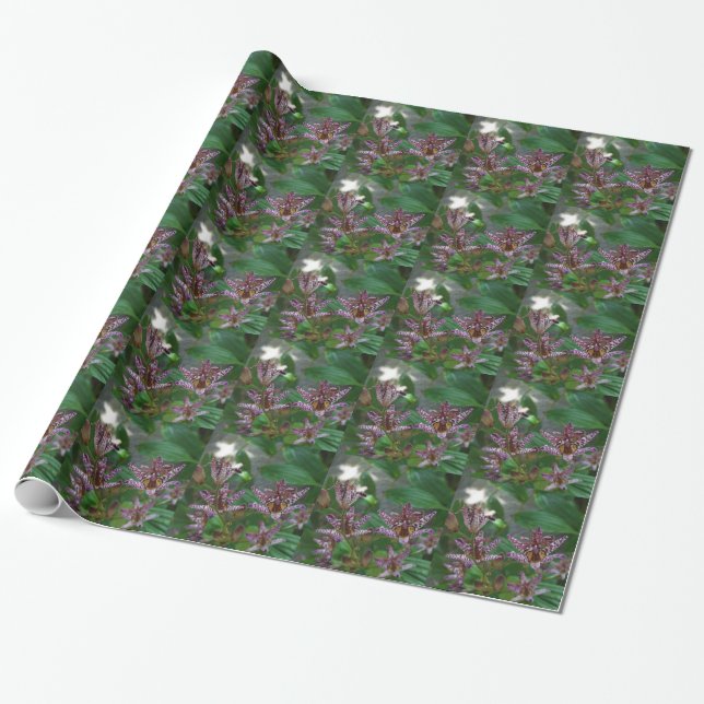 Purple pink white striped orchid like flower lilly wrapping paper (Unrolled)