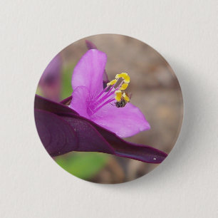 purple plant called spiderwort and a tiny bee 6 cm round badge