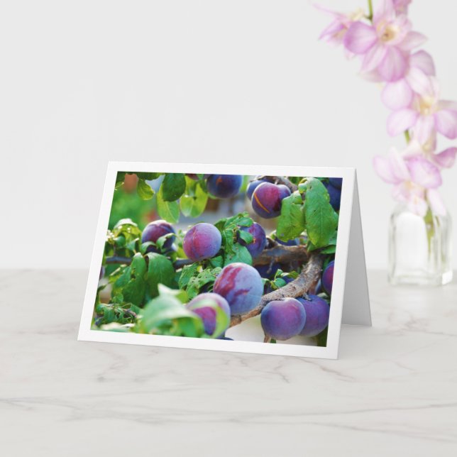 Purple Plum Tree Portrait Card (Orchid)