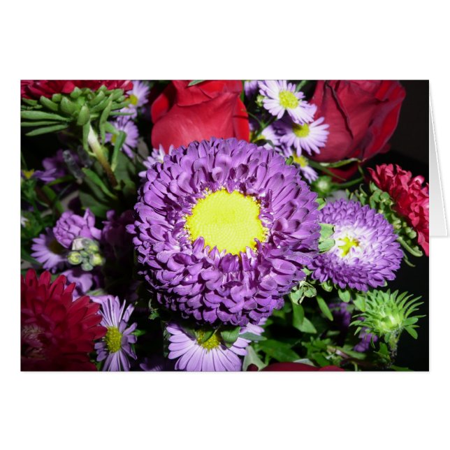 Purple Pom Mum (Front Horizontal)