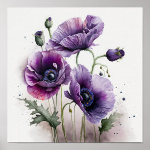 Purple Poppy Flowers Art Print Poster