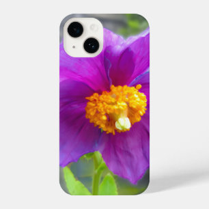 Purple poppy phone cover
