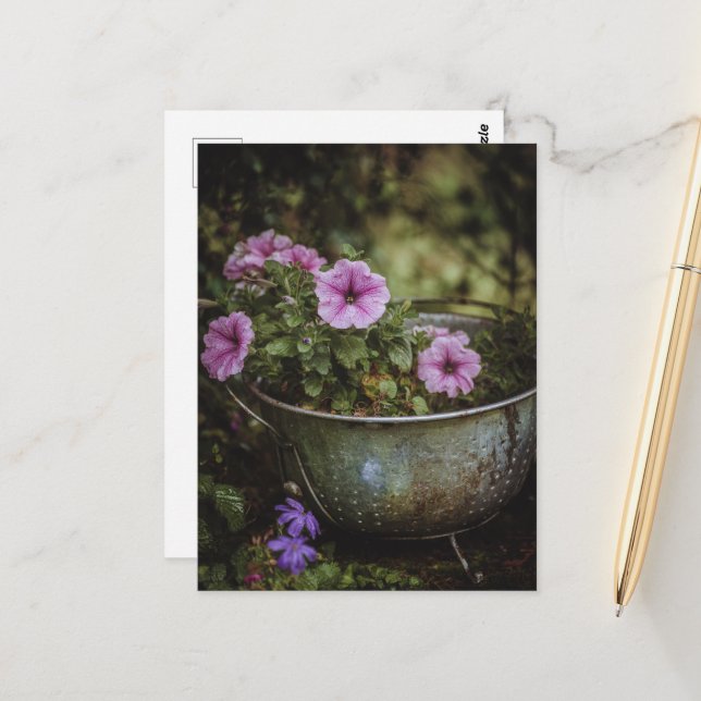 Purple Pretty Petunias Postcard (Front/Back In Situ)