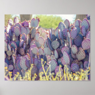 Purple Prickly Pears Poster