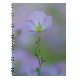 Purple Primrose Spiral Notebook