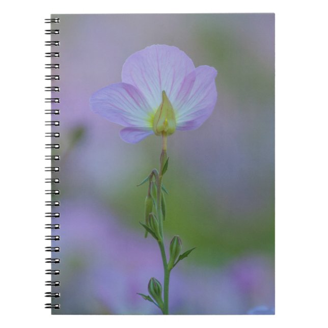Purple Primrose Spiral Notebook (Front)
