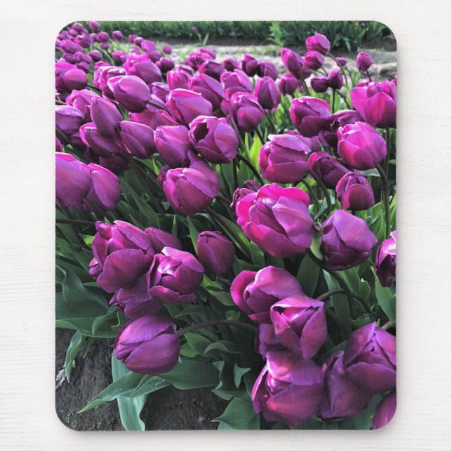 Purple Prince Tulips Mouse Pad (Front)