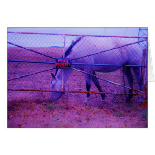 Purple Private Property Horse