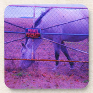 Purple Private Property Horse Coaster