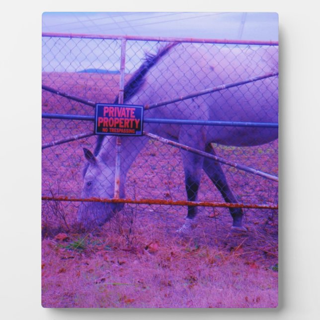 Purple Private Property Horse Plaque (Front)