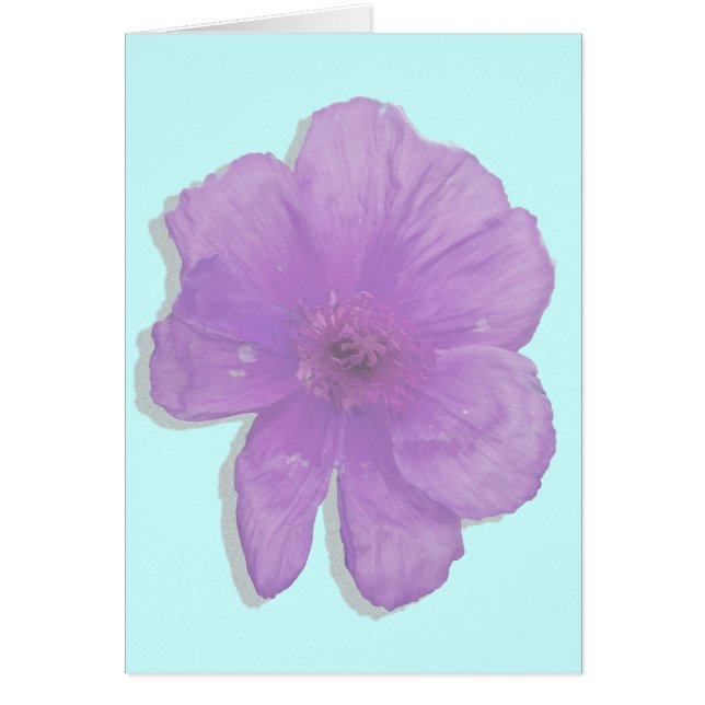 Purple Punch/ PopArt Flower (Front)